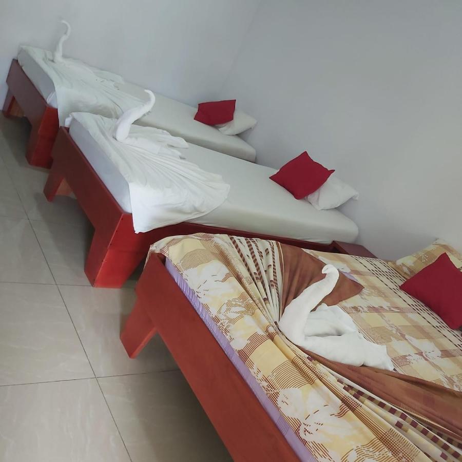 Cabanas Daneysha Tortuguero Ngoại thất bức ảnh