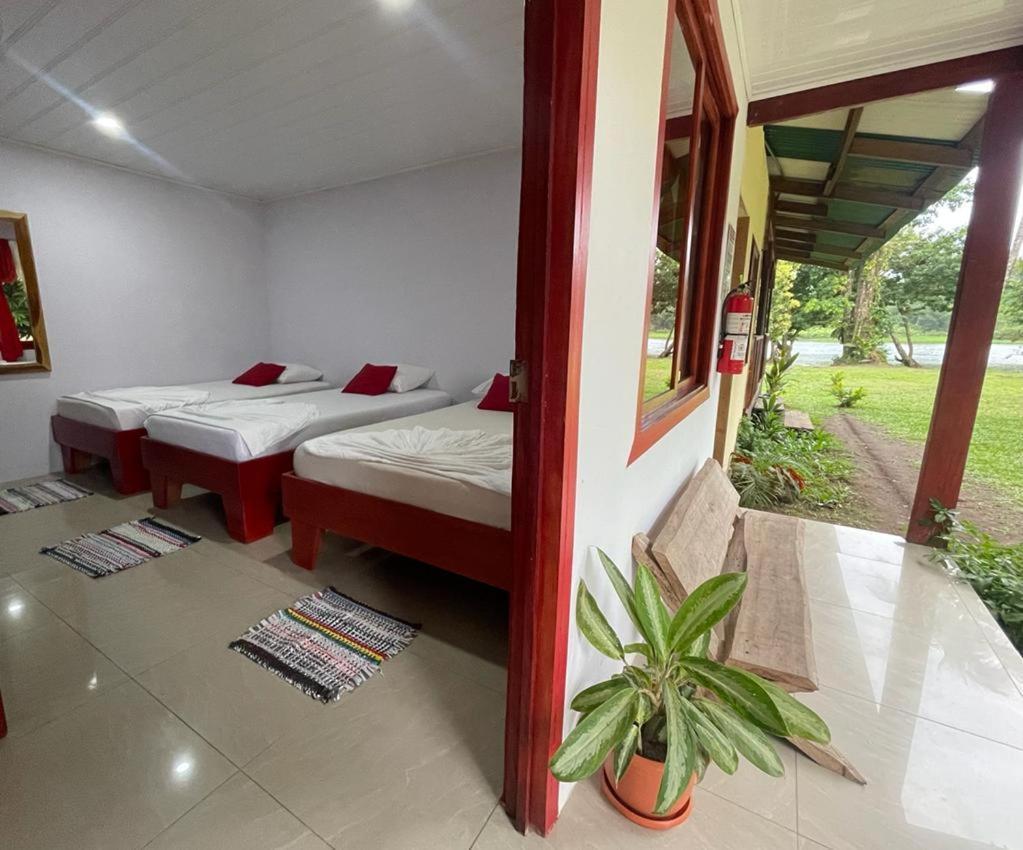 Cabanas Daneysha Tortuguero Ngoại thất bức ảnh