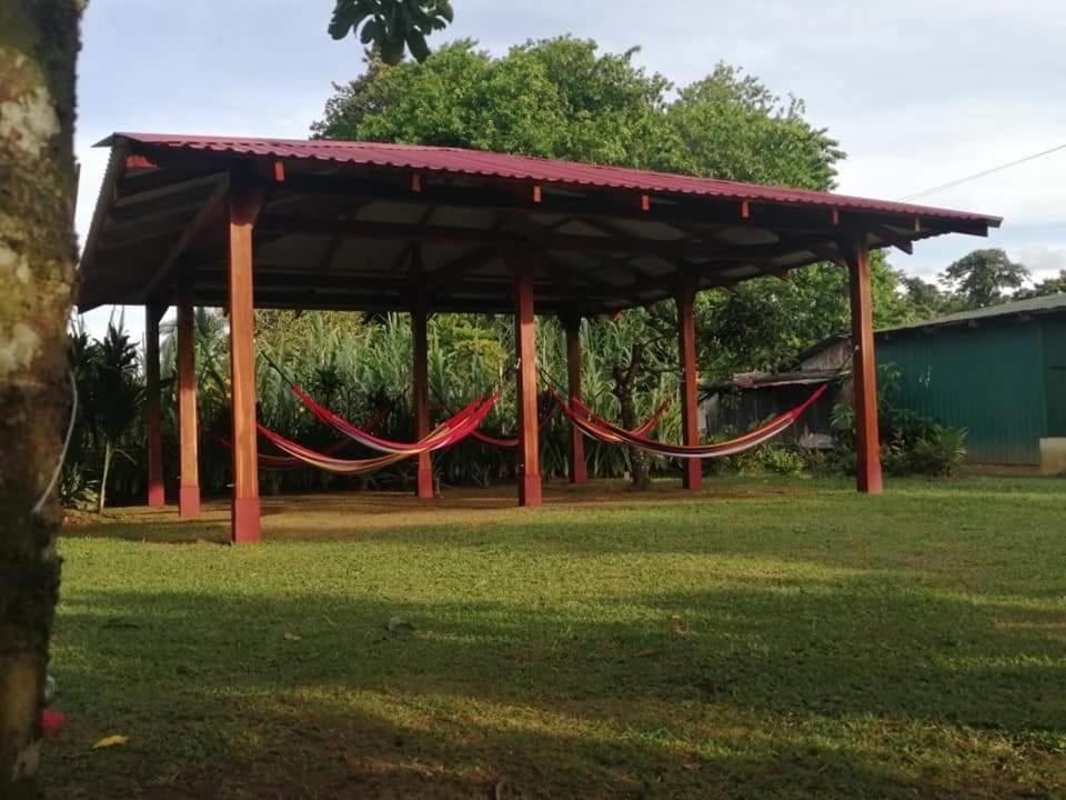 Cabanas Daneysha Tortuguero Ngoại thất bức ảnh