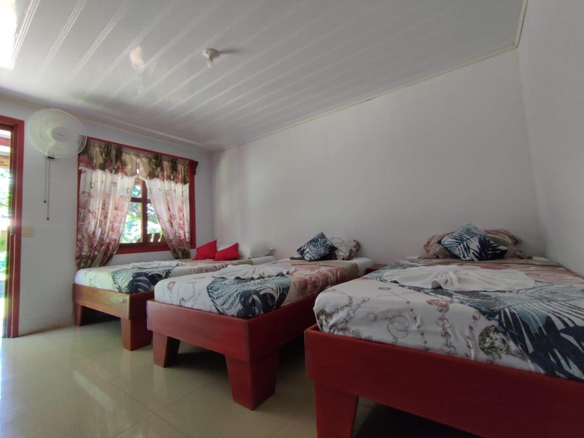 Cabanas Daneysha Tortuguero Ngoại thất bức ảnh