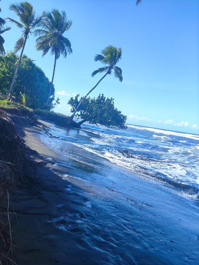 Cabanas Daneysha Tortuguero Ngoại thất bức ảnh
