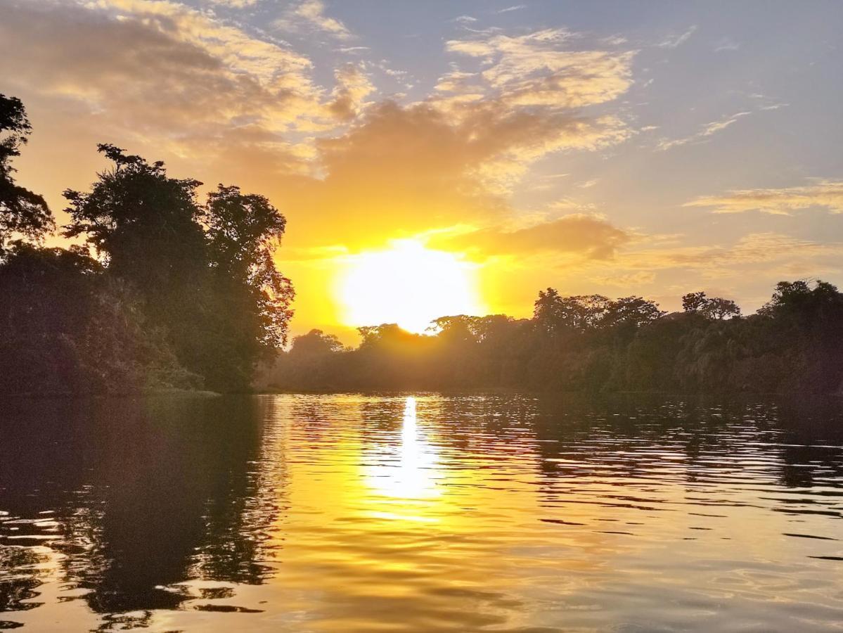 Cabanas Daneysha Tortuguero Ngoại thất bức ảnh