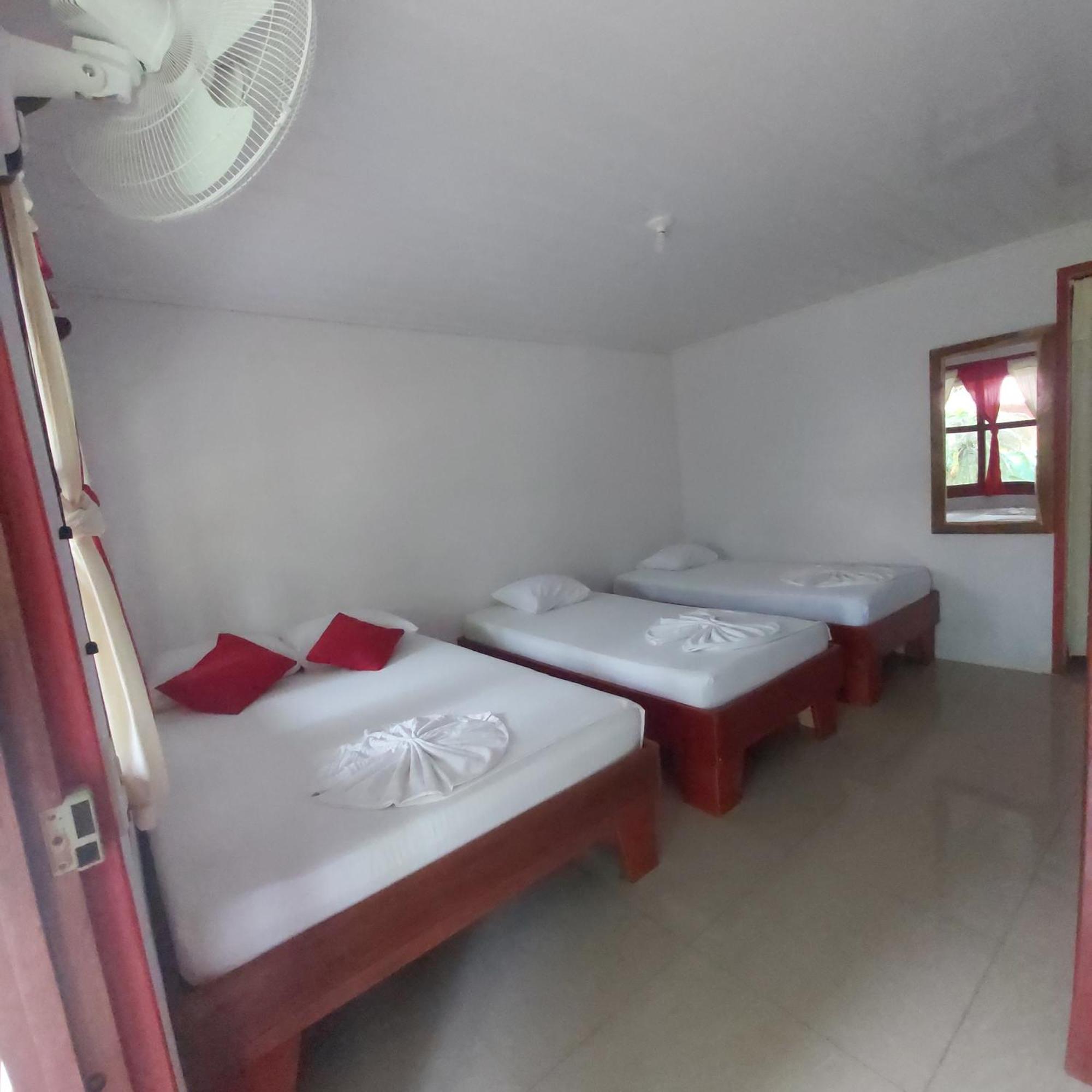 Cabanas Daneysha Tortuguero Phòng bức ảnh