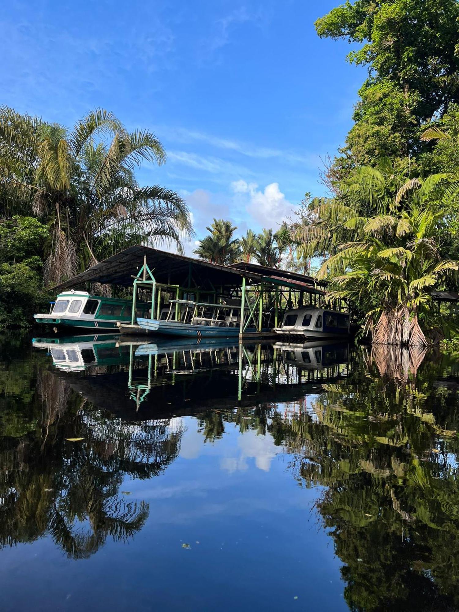 Cabanas Daneysha Tortuguero Phòng bức ảnh