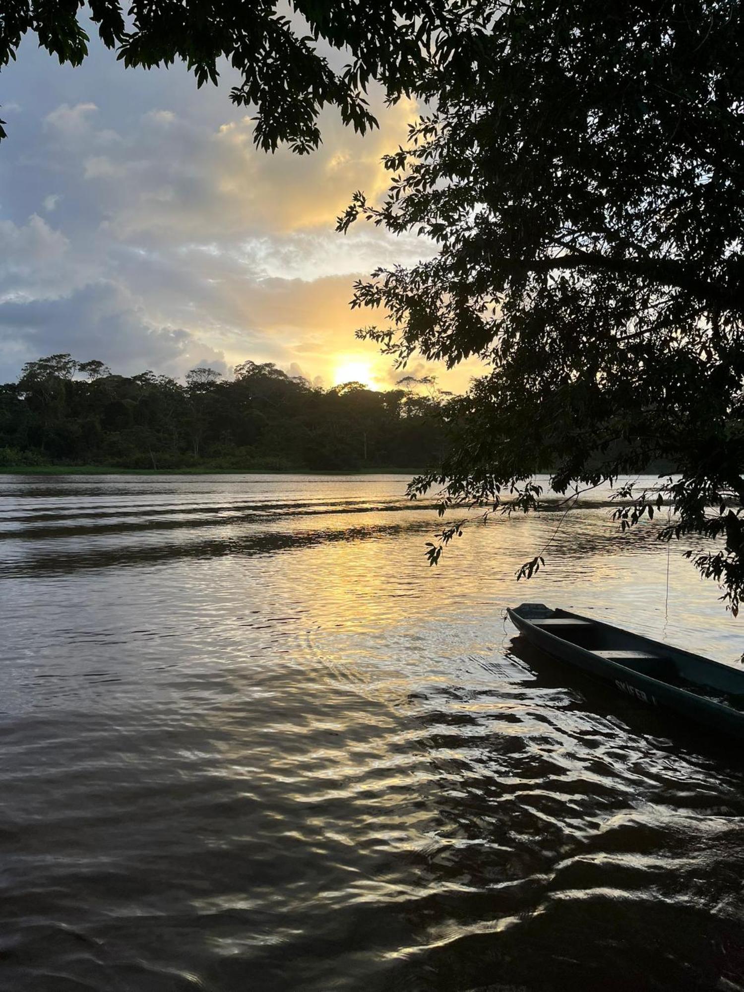 Cabanas Daneysha Tortuguero Phòng bức ảnh